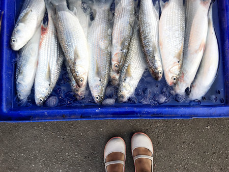 Selfie of shoes with fresh fish