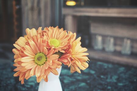 Orange chrysanthemum flowersの写真素材