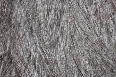 Wood backgroundの写真素材