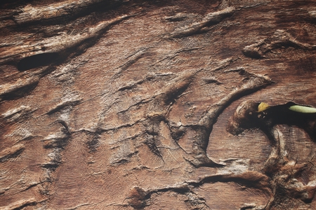 Wood backgroundの写真素材