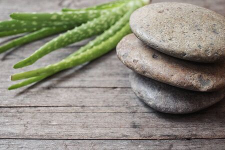 Aloe vera with stoneの写真素材