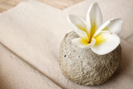 White frangipani flower with stoneの写真素材