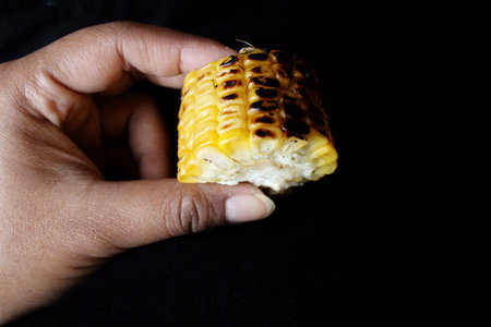 Grilled corn on handの写真素材