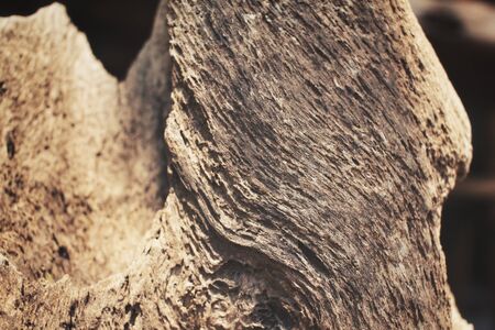 Wood backgroundの写真素材