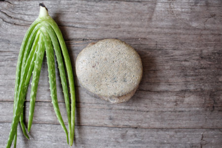 Aloe vera with stoneの写真素材