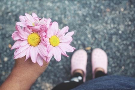 Pink flowers on handの写真素材