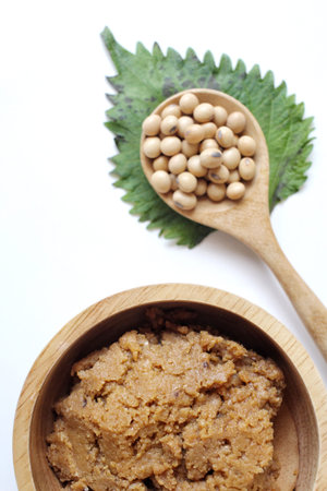 Miso paste isolated