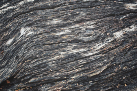 Wood background