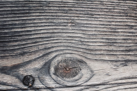 Wood background