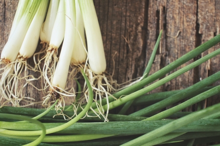 Green onionの写真素材