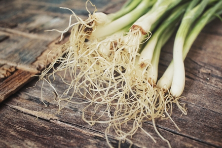Green onionの写真素材