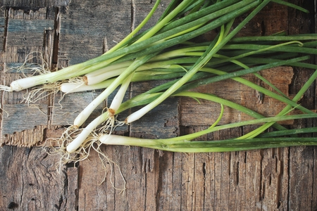 Green onionの写真素材