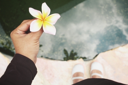 Frangipani flower on handsの写真素材