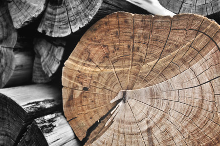 Wood background