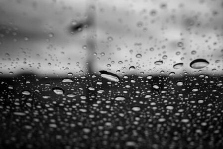 Water dropの写真素材