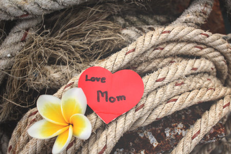Heart mom