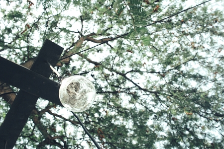 Vintage light bulbの写真素材