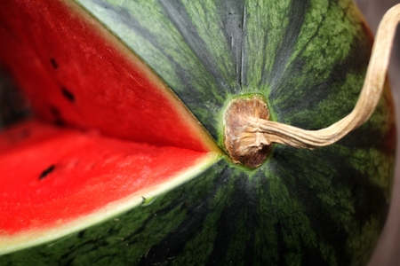 Watermelonの写真素材