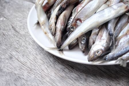 Fresh fishの写真素材