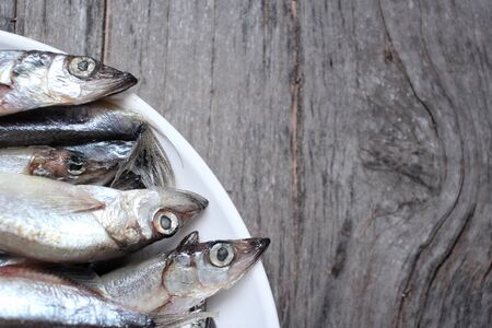 Fresh fishの写真素材