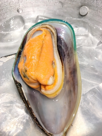 Musselの写真素材
