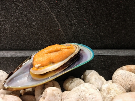 Musselの写真素材