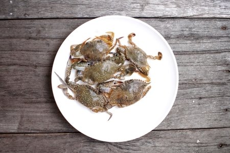 Fresh crabの写真素材