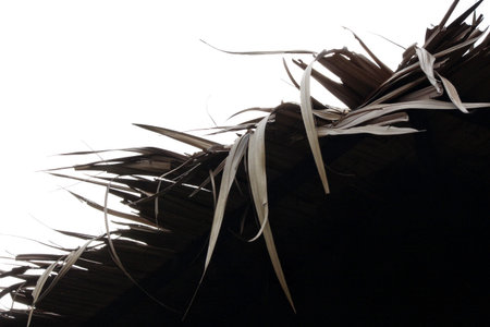 Roof of homeの写真素材