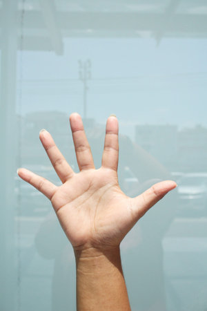 Five fingersの写真素材