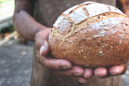 Fresh bread on handsの写真素材