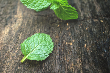 Pepper mint leaves