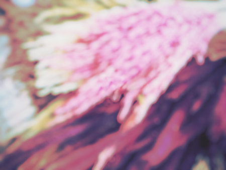 Blurred of dry flowersの写真素材
