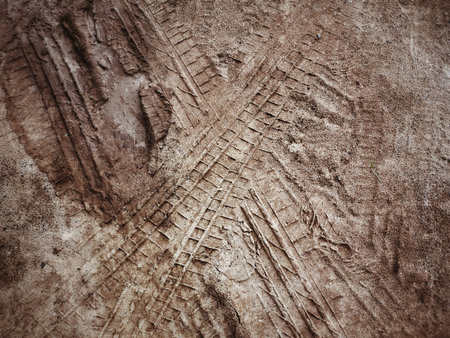 Wheel tracks on the soil