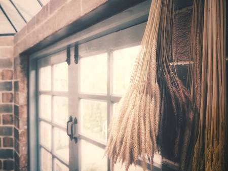 Dry flowersの写真素材