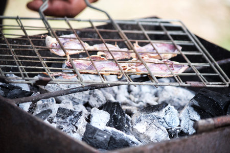 Dried squid Thai street foodの写真素材