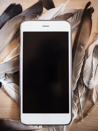 Smart phone with featherの写真素材