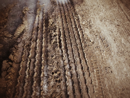 Wheel tracks on the soilの写真素材