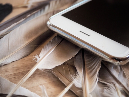 Smart phone with featherの写真素材