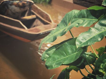 Wooden boatの写真素材