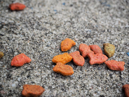 Cat food