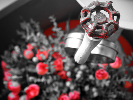 Antique faucetsの写真素材