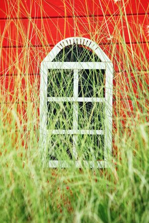 Windows europe style with grassの写真素材