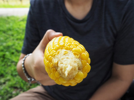Fresh corn on hand