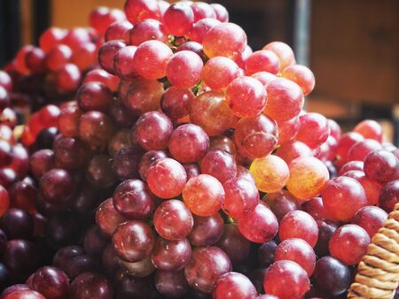 Fresh grapesの写真素材