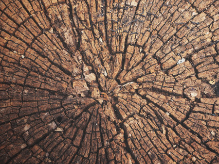 Wood background