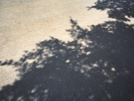 Shadow of leavesの写真素材