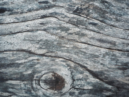 Wood background
