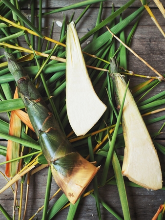 Bamboo shootの写真素材