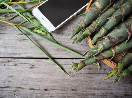 Bamboo shoot with smart phoneの写真素材