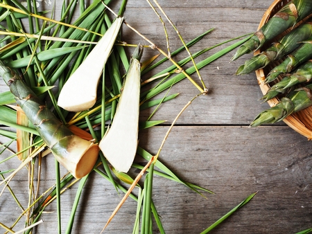 Bamboo shootの写真素材